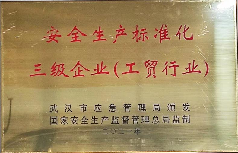 安全生產(chǎn)標準化三級企業(yè)（工貿商...